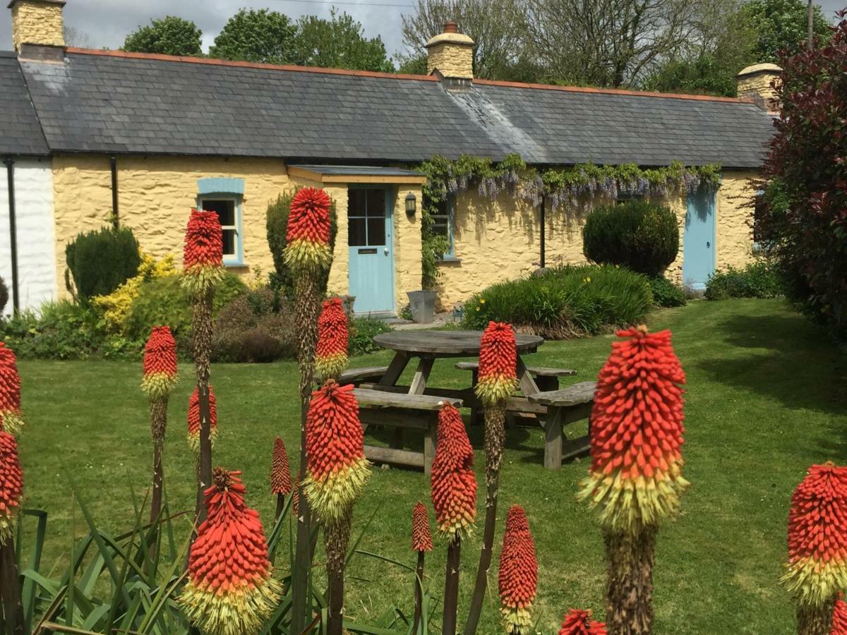 Charming Welsh Cottage Johnston Zewnętrze zdjęcie